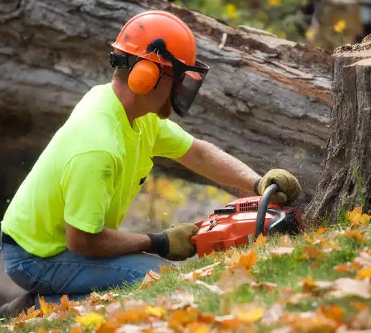 tree services Monroe City